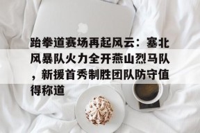 跆拳道赛场再起风云：塞北风暴队火力全开燕山烈马队，新援首秀制胜团队防守值得称道的简单介绍